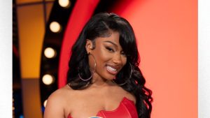 megan-thee-stallion-shares-pete-and-thomas-foundation’s-standout-moments-of-2024